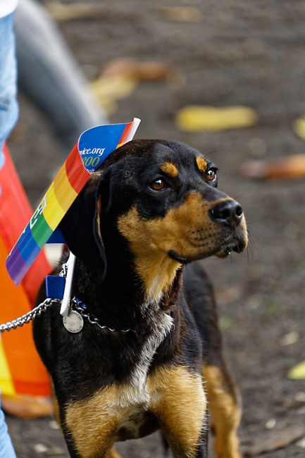 Gay Pride Bordeaux 2015-047